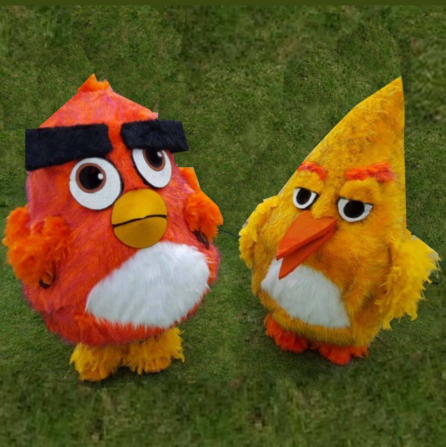 Themed Entertainer