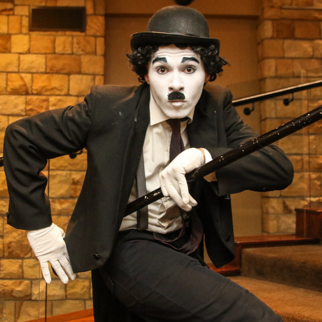 Themed Entertainer