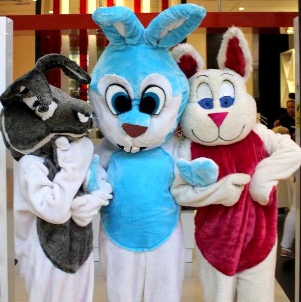 Themed Entertainer