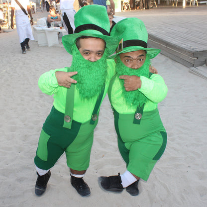 Themed Entertainer