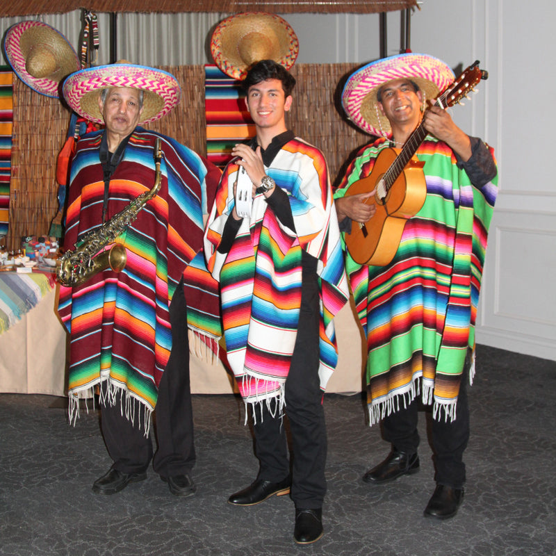 Themed Entertainer
