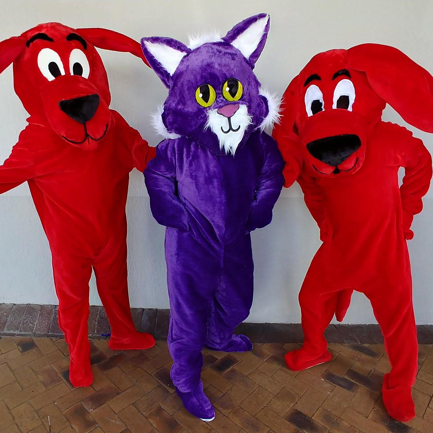 Themed Entertainer