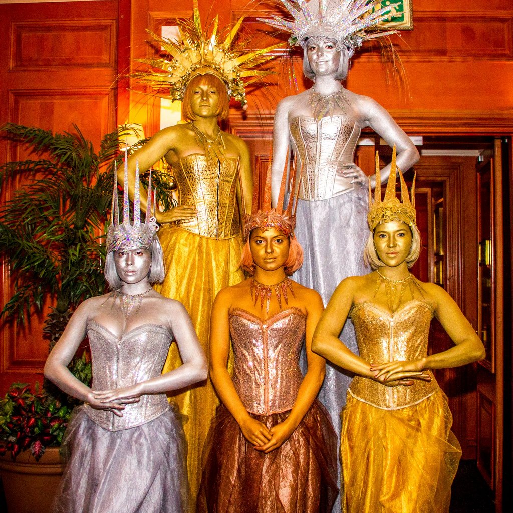 Themed Entertainer
