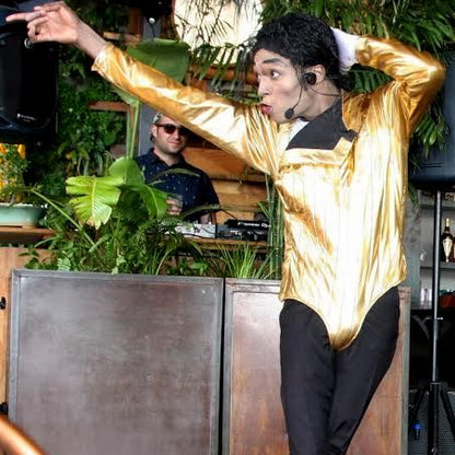 Themed Entertainer