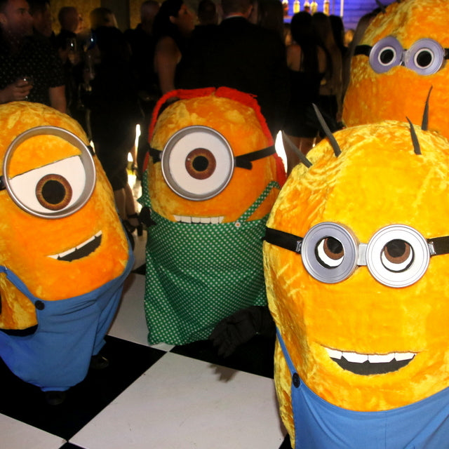Themed Entertainer