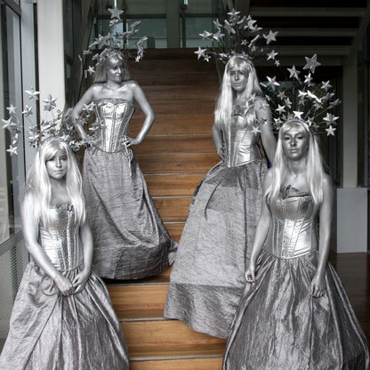 Themed Entertainer