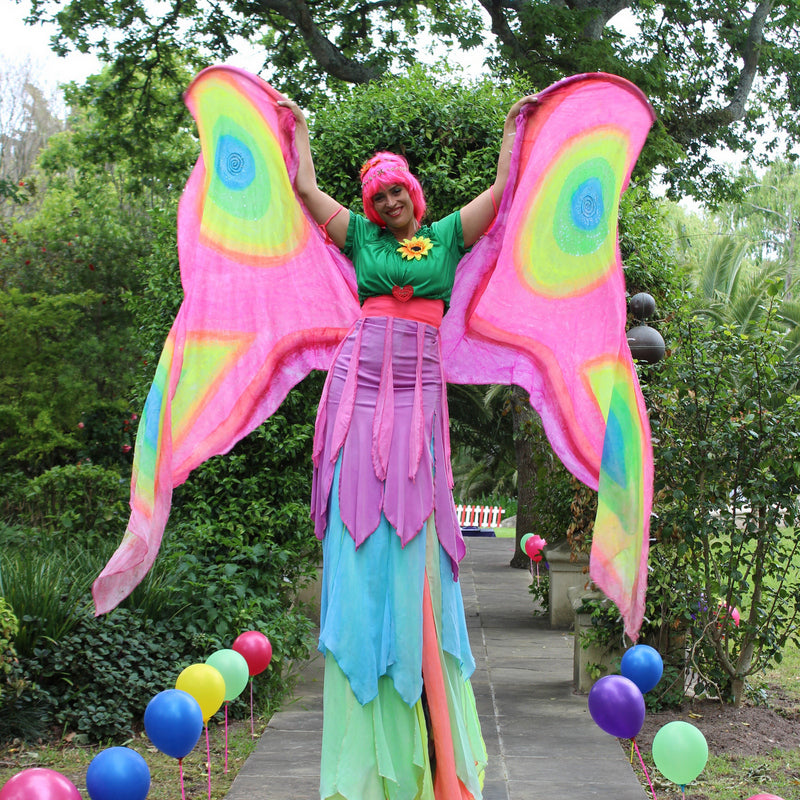 Themed Entertainer