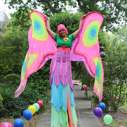 Themed Entertainer